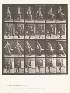 Animal locomotion (Eadweard Muybridge, 1880s) - www.metmuseum.org